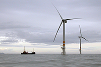 Commercial Fishing Access in NY Bight Offshore Wind Farms